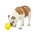 Charger l'image dans la visionneuse de la galerie, Guru - Giggling Tennis Ball L Guru