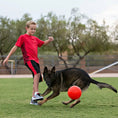 Load image into Gallery viewer, Jolly Pet - Ballon de Soccer pour chien Jolly Pet