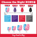 Load image into Gallery viewer, KONG - Puppy - Variétés de Modèle KONG ™