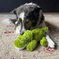 Load image into Gallery viewer, Kong Cozie - Jouet Alligator pour chiens