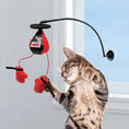Charger l'image dans la visionneuse de la galerie, Kong - Jouet Connects Window Boxing pour chats KONG ™