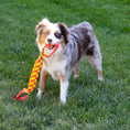 Load image into Gallery viewer, Kong - Maxx Tug, Dog Toy, Large