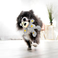 Load image into Gallery viewer, Kong - Ourson Wild Knots pour chien XS KONG ™