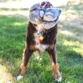 Load image into Gallery viewer, Kong Toughz - Jouet toutou pour chiens