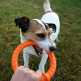 Load image into Gallery viewer, LaRoo - Anneau Durable jouet tug pour chien LaRoo