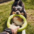 Load image into Gallery viewer, LaRoo - Anneau Durable jouet tug pour chien LaRoo