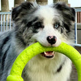 Load image into Gallery viewer, LaRoo - Anneau Durable jouet tug pour chien LaRoo