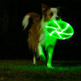 Charger l'image dans la visionneuse de la galerie, LaRoo - Frisbee LED pour Chien LaRoo