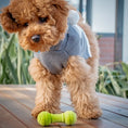 Load image into Gallery viewer, LaRoo - Haltère en Caoutchouc pour chien LaRoo