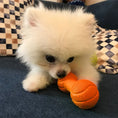 Load image into Gallery viewer, LaRoo - Haltère en Caoutchouc pour chien LaRoo