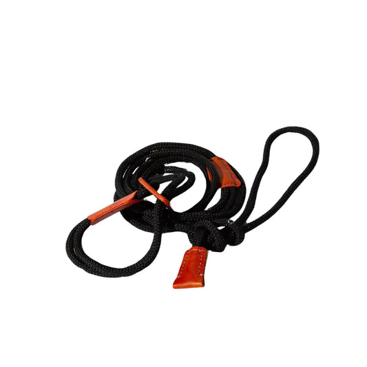 Laisse et harnais 2 en 1 entraînement pour chien Livora