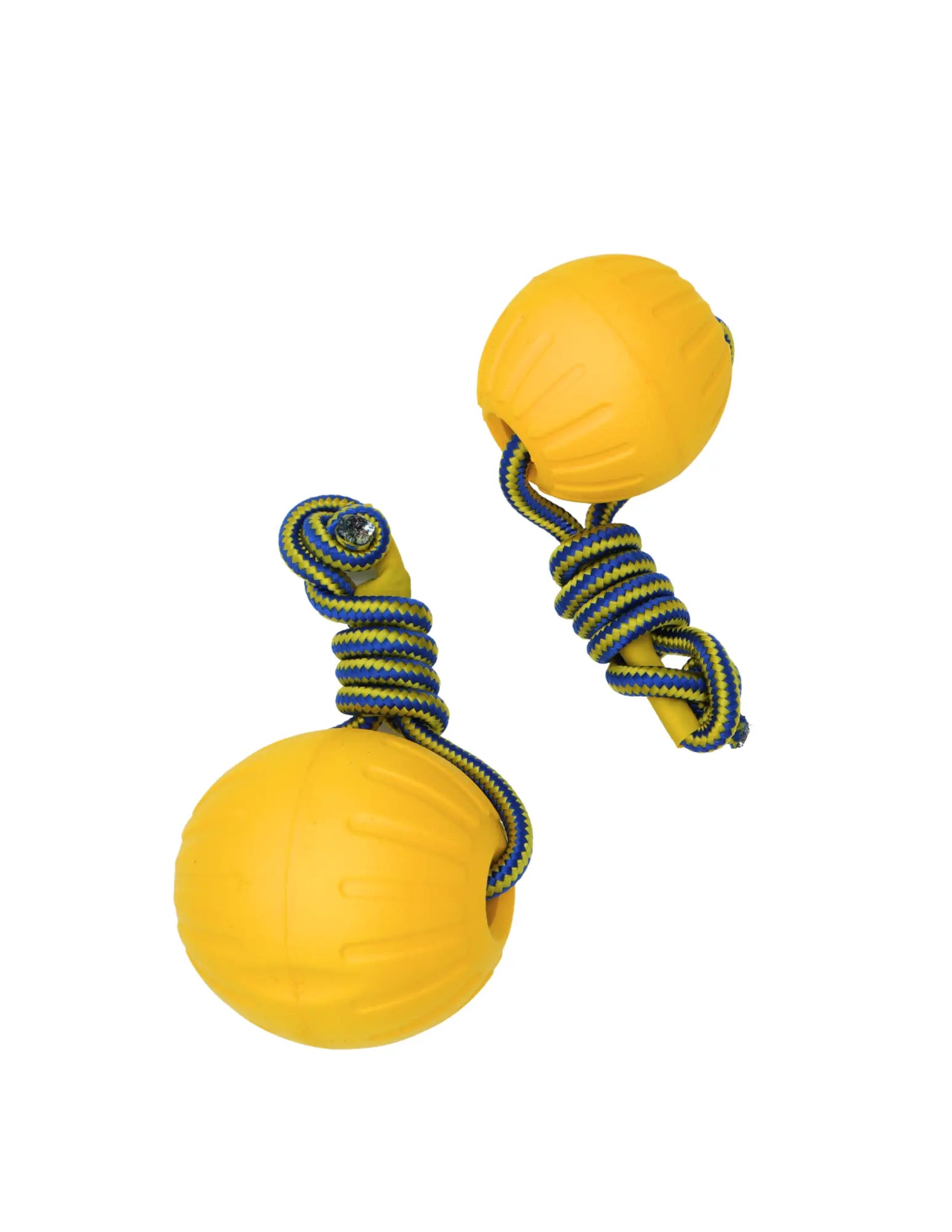 Livora - Ensemble de jouets pour chien Livora