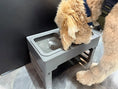 Load image into Gallery viewer, Livora - Gamelles Surélevées Réglables pour Chiens Livora