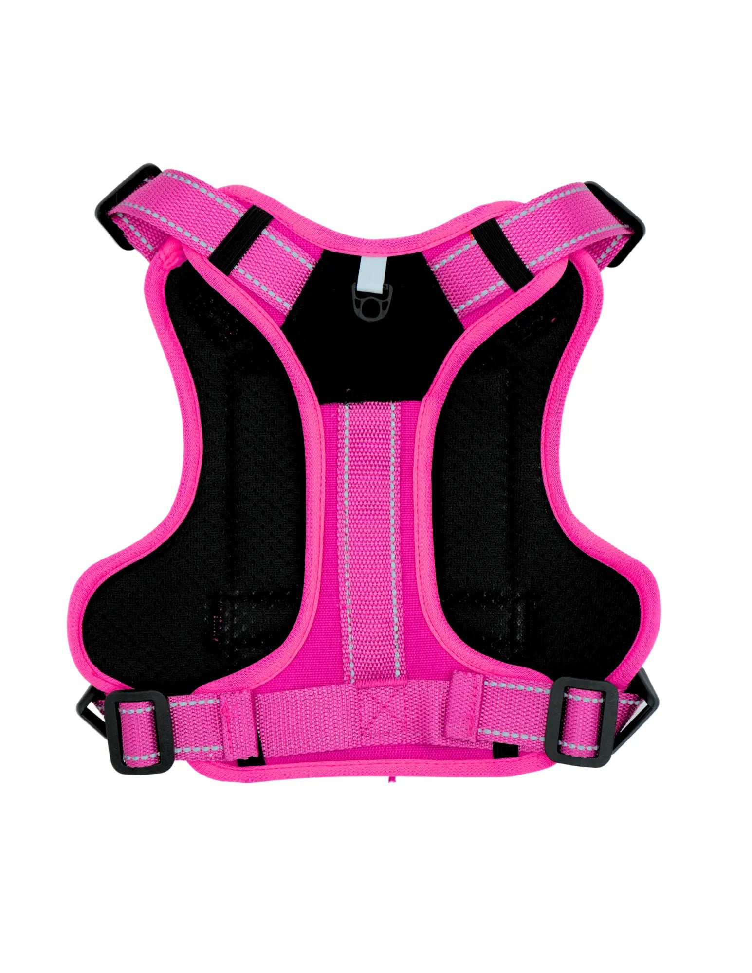 Livora - Harnais Aventure pour chien Livora