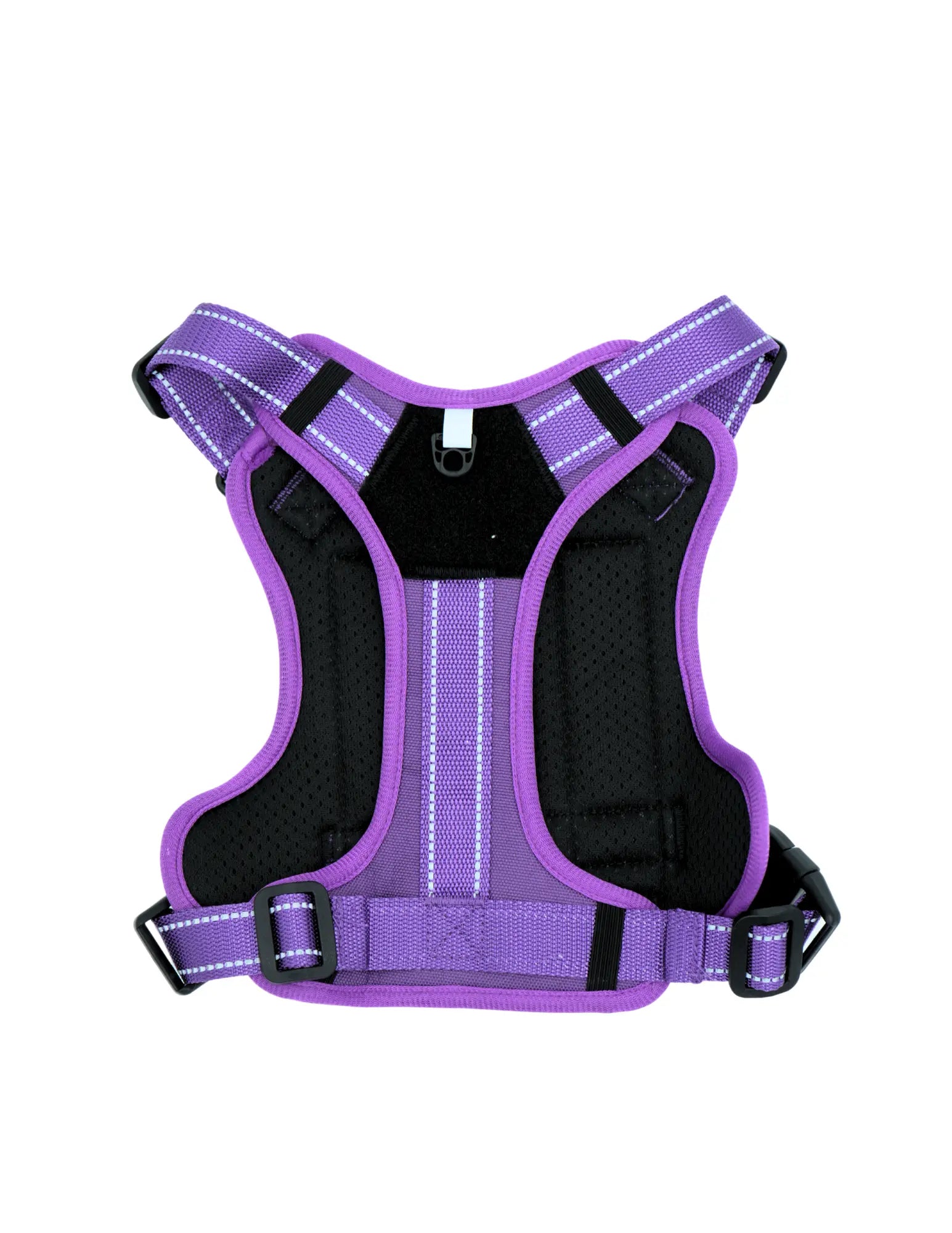 Livora - Harnais Aventure pour chien Livora