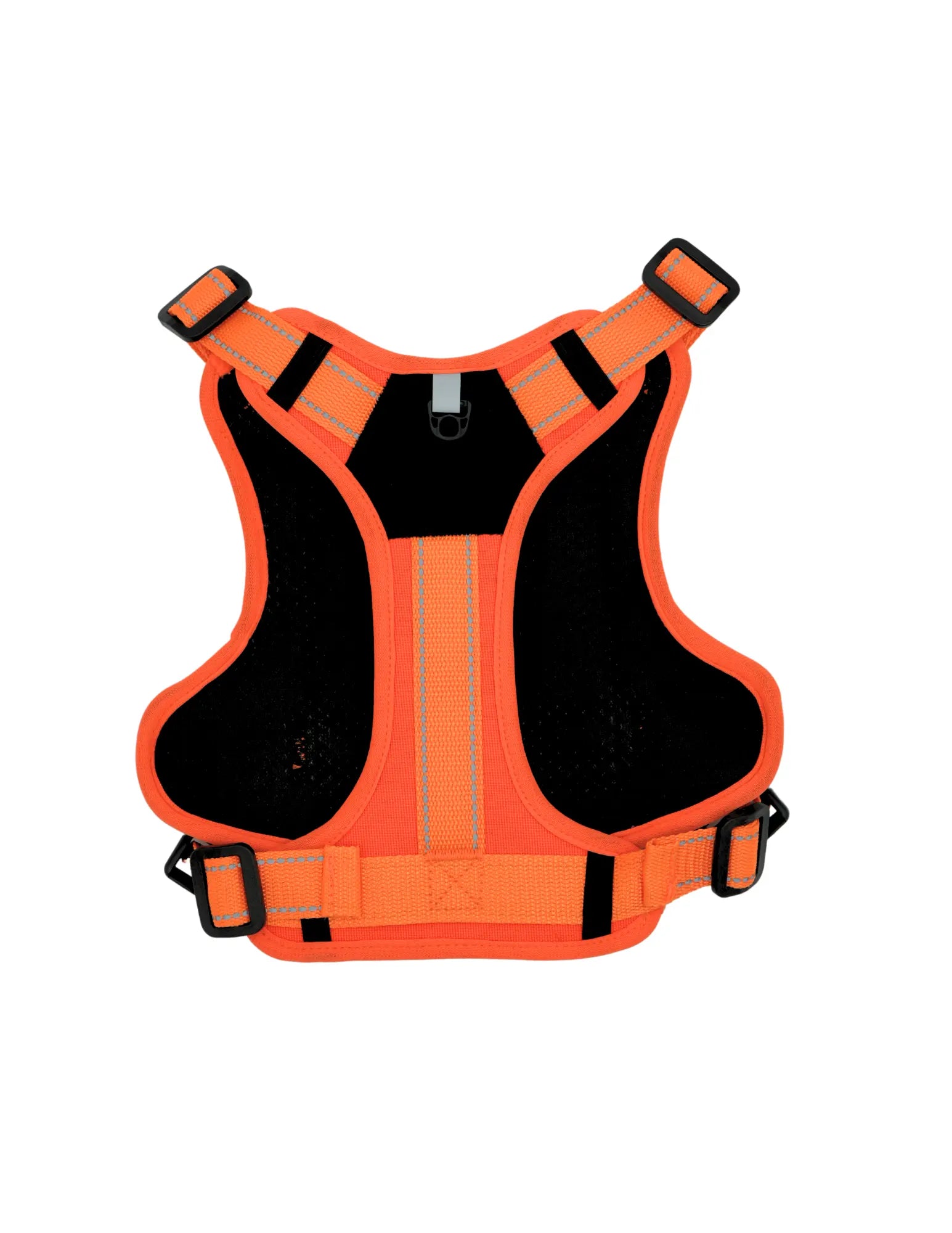 Livora - Harnais Aventure pour chien Livora