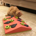 Load image into Gallery viewer, Nina Ottosson - Puzzle Chat - Melon Maddness Nina Ottosson