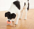 Charger l'image dans la visionneuse de la galerie, Nina Ottosson - Puzzle Rumble pour chiens Nina Ottosson