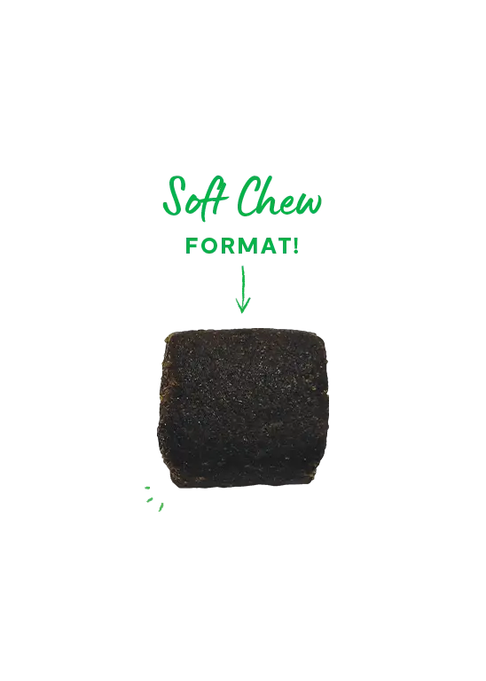 Open Farm - Compléments Alimentaires pour Animaux Open Farm