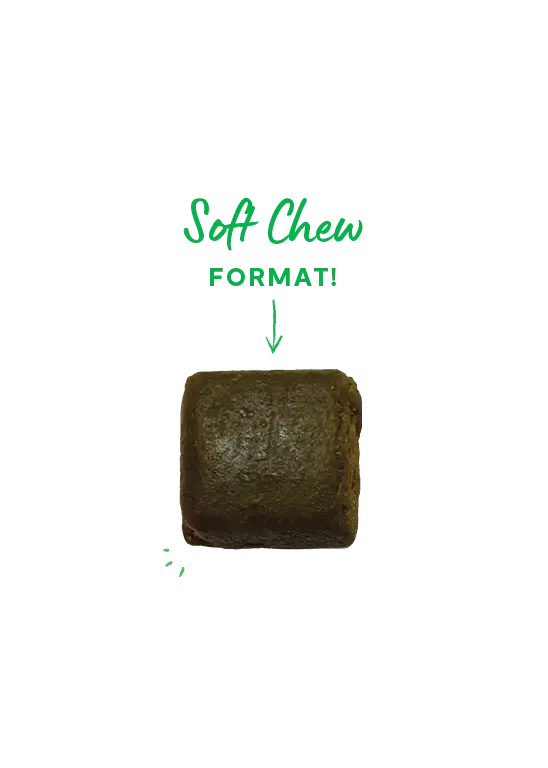 Open Farm - Compléments Alimentaires pour Animaux Open Farm