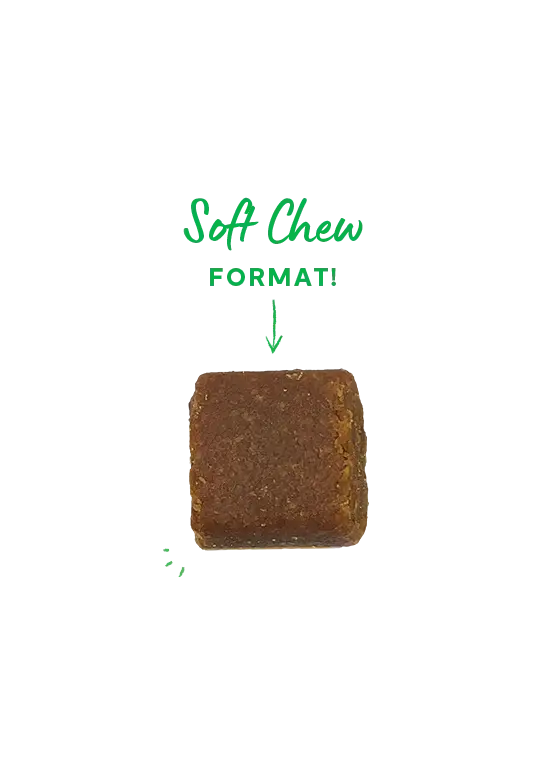 Open Farm - Compléments Alimentaires pour Animaux Open Farm