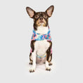 Charger l'image dans la visionneuse de la galerie, Canada Pooch Poncho - Tie Dye 8 Canada Pooch