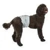 Charger l'image dans la visionneuse de la galerie, Pooch Pants - Male Wrap Pooch