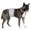 Charger l'image dans la visionneuse de la galerie, Pooch Pants - Male Wrap Pooch