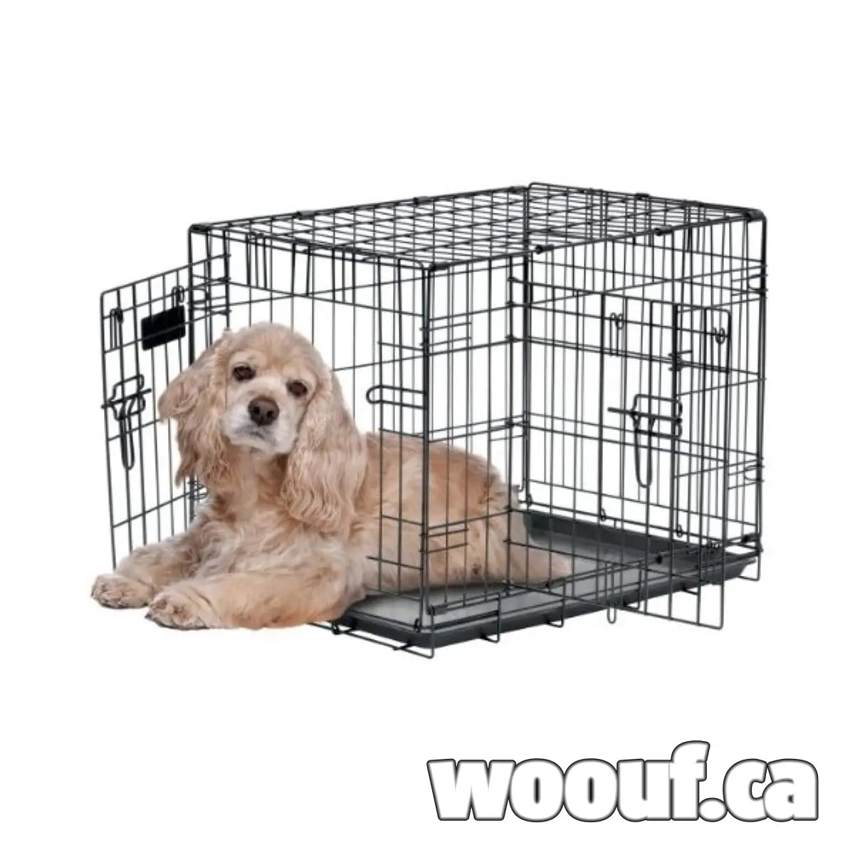 Precision - Enclos polyvalents pour Animaux Precision