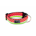 Load image into Gallery viewer, RC - Collier Clip Large - Modèles Variés RC Pet