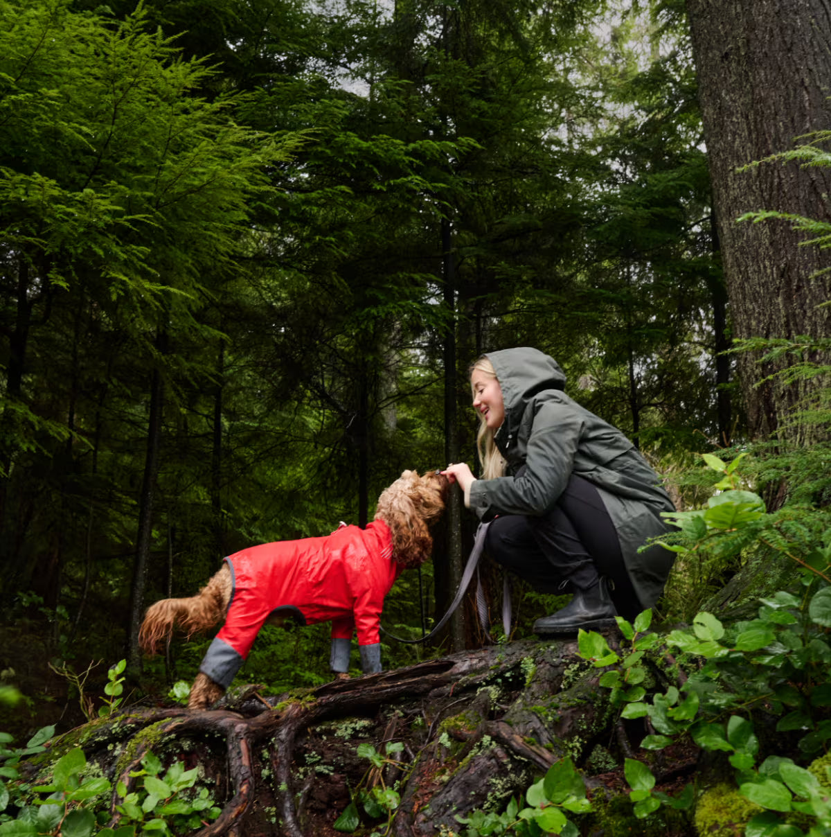 RC - Combinaison de pluie Repel pour chiens RC Pet