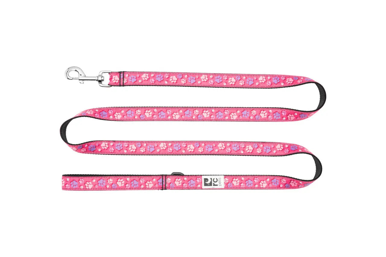 RC - Laisse 1 x 6 - Couleurs Variés RC Pet