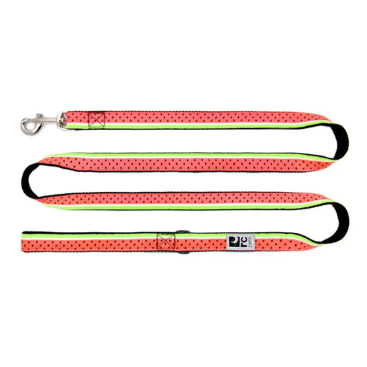 RC - Laisse 3/4 x 6 - Couleurs variés RC Pet