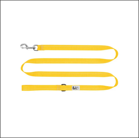 RC - Laisse Primary 3/4 x 6 - Couleurs Variés RC Pet