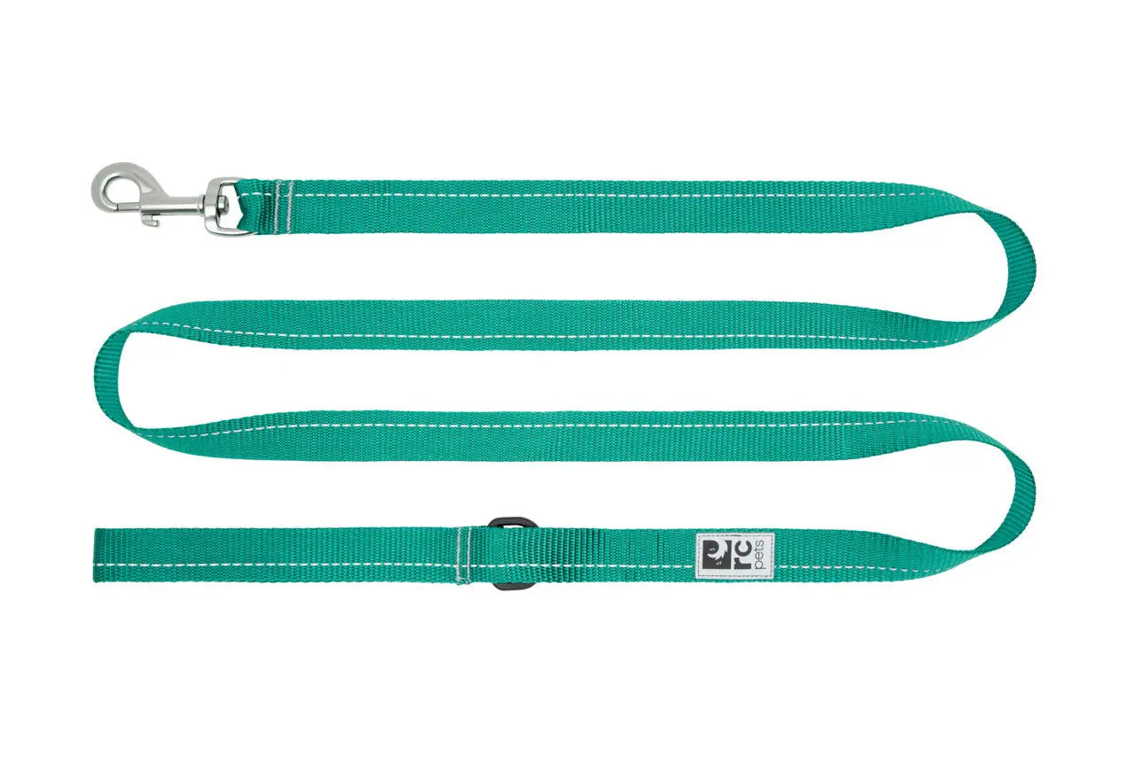 RC - Laisse pour chien Primary 3/4 x 6 - Couleurs Variés RC Pet