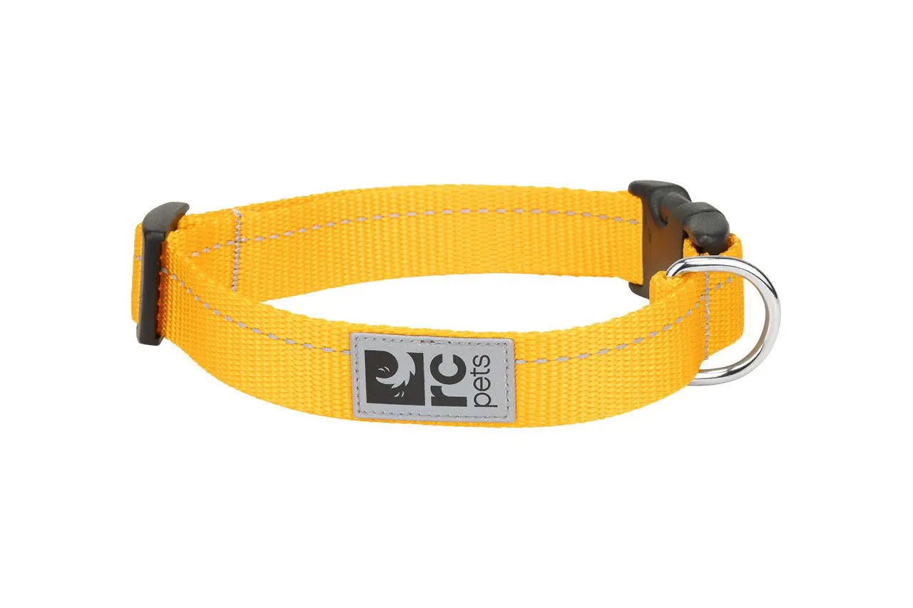 RC - Petit Collier Chien de Base 1/2 RC Pet