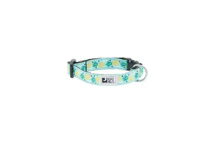 RC - Petit Collier à motifs pour chien RC Pet