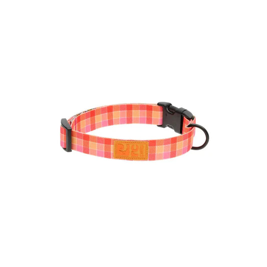 RC Pets - Collier Éco pour chien RC Pet