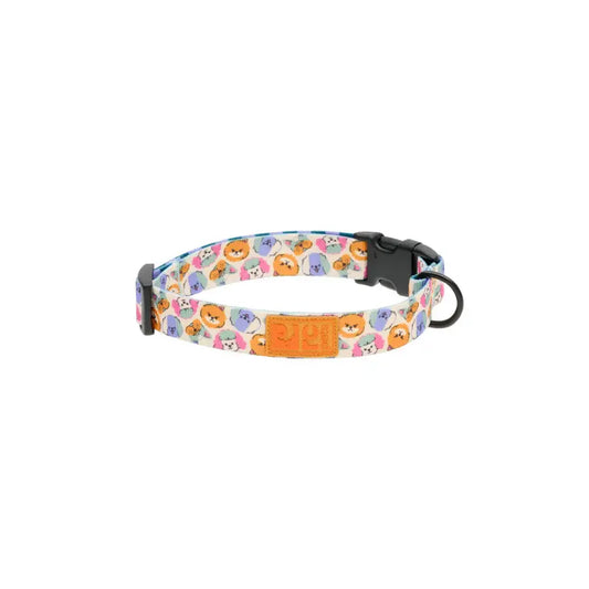 RC Pets - Collier Éco pour chien RC Pet