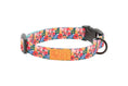 Charger l'image dans la visionneuse de la galerie, RC Pets - Collier Eco pour chien