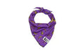 Load image into Gallery viewer, RC - Zephyr Cooling Bandana - Couleurs Variés RC Pet