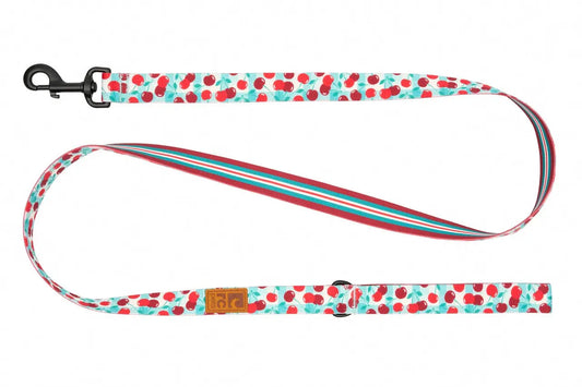 Rc Pets - Laisse Éco pour chien RC Pet