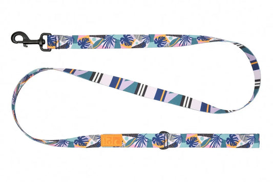 Rc Pets - Laisse Éco pour chien RC Pet