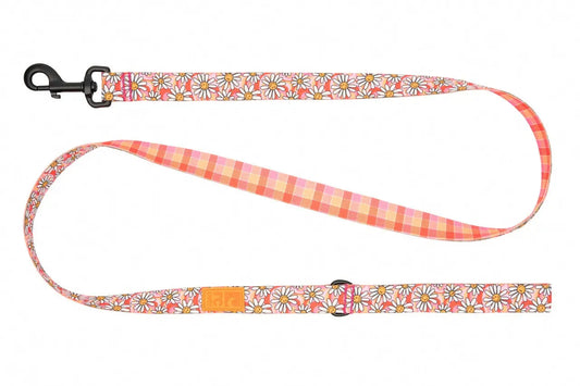 Rc Pets - Laisse Éco pour chien RC Pet