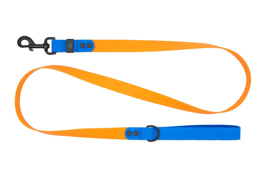 Rc Pets - Laisse Imperméable pour chien - Variétés de Modèles et Grandeur RC Pet