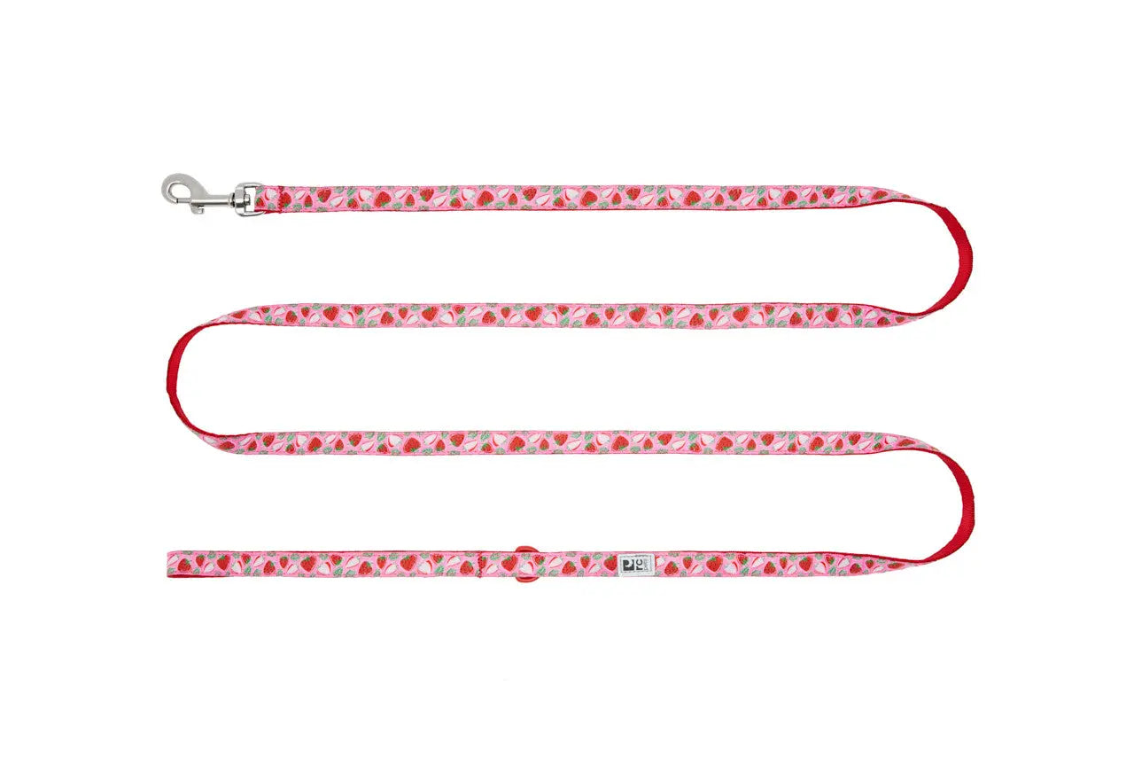 Rc Pets - Petite Laisse de 1/2x6 - Variétés de Modèles RC Pet