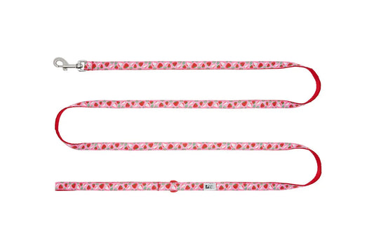 Rc Pets - Petite Laisse de 1/2x6 - Variétés de Modèles RC Pet