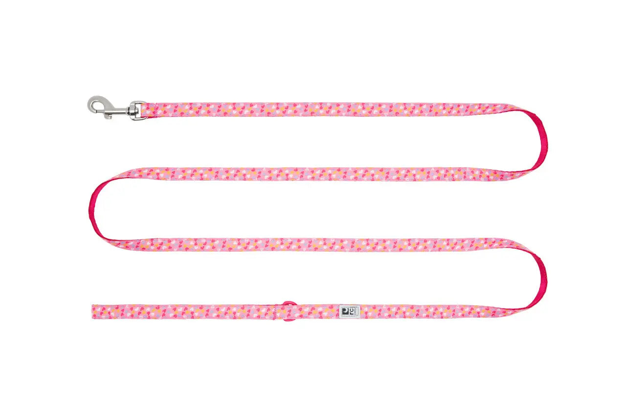 Rc Pets - Petite Laisse de 1/2x6 - Variétés de Modèles RC Pet