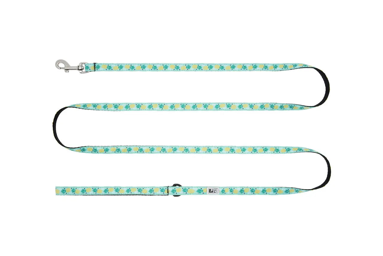 Rc Pets - Petite Laisse de 1/2x6 - Variétés de Modèles RC Pet