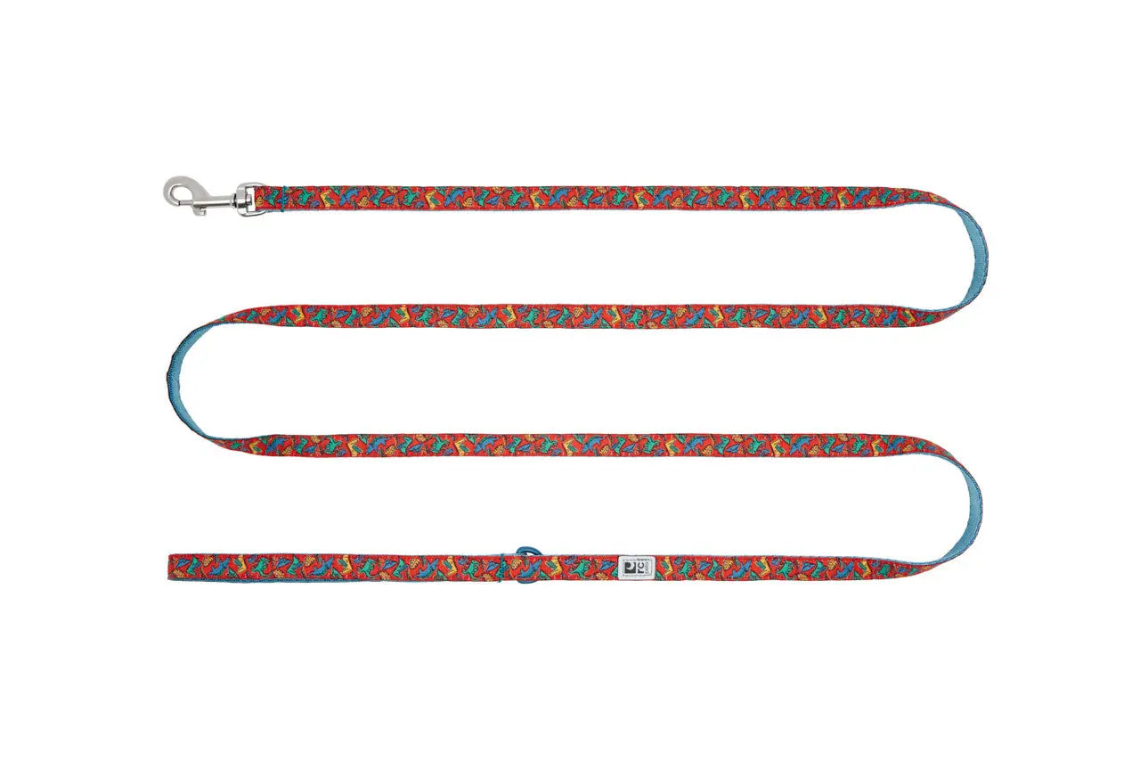 Rc Pets - Petite Laisse de 1/2x6 - Variétés de Modèles RC Pet